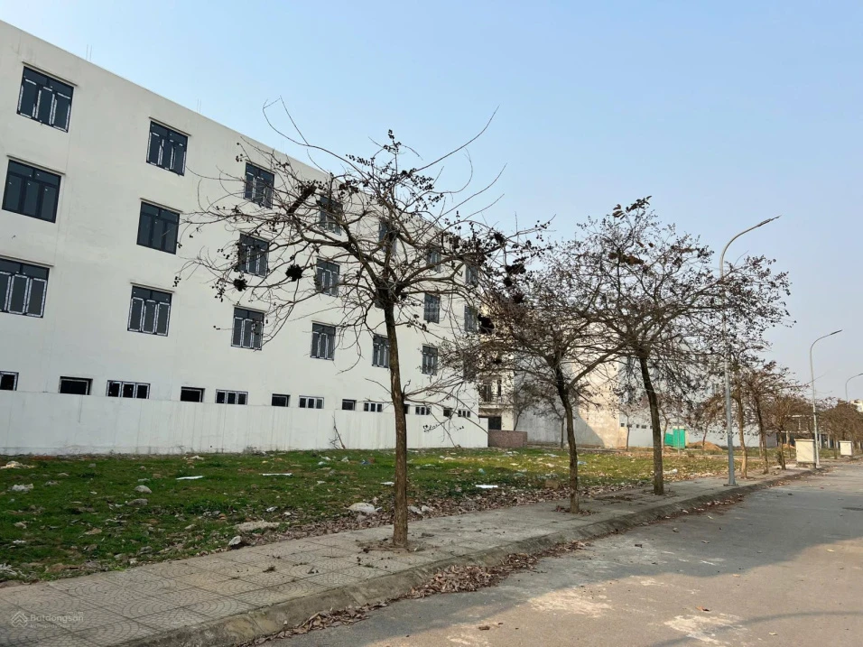 Bán đất nền giá tốt, 1,6 tỷ, 85m2 ở Quốc lộ 32, Tam Nông, Phú Thọ - Ảnh thu nhỏ 2