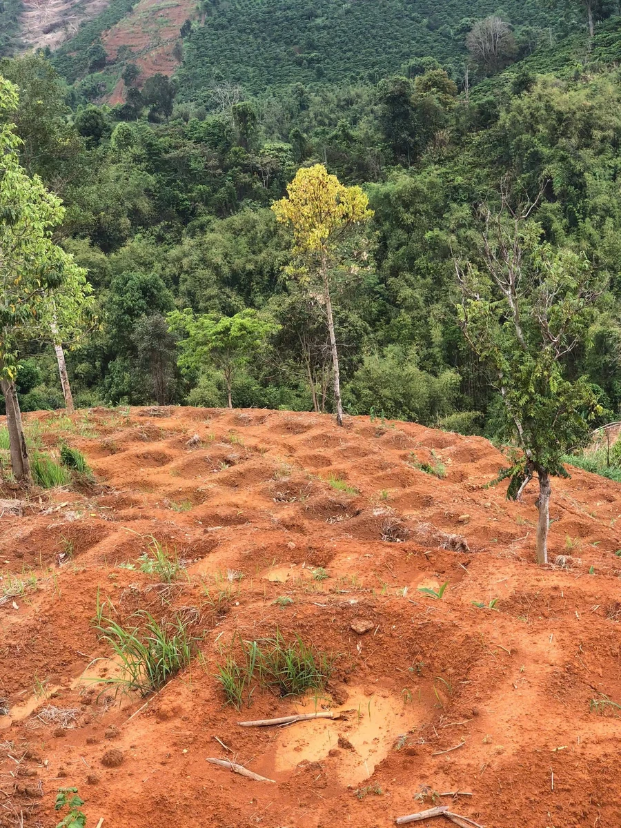 Bán 2,8ha đất Krông Nô Lâm Đồng, 1,2 tỷ - Ảnh 1