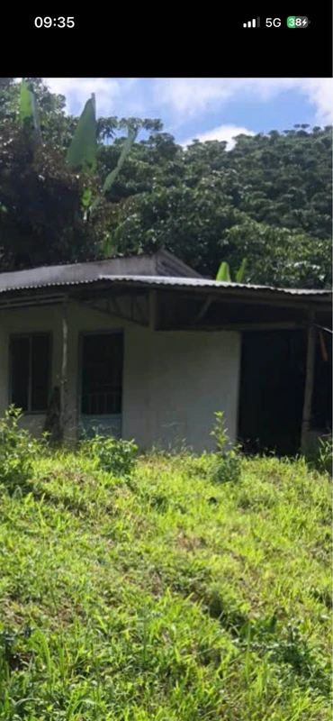 Bán vườn cà phê 1,1 ha đang thu hoạch tại Phường 3, Đại Lào, Bảo Lộc, giá 2,5 tỷ