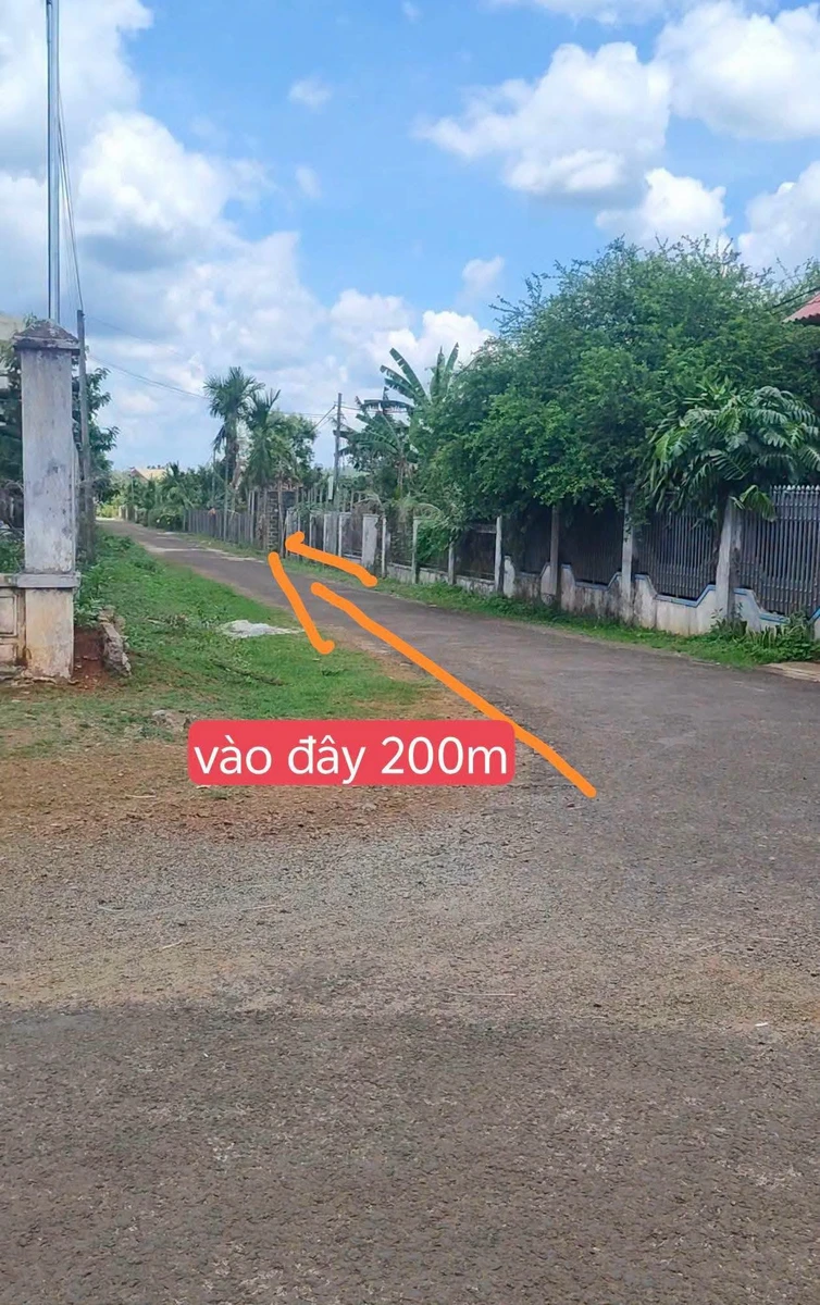 Bán đất Cần Giờ 5x37m 260 triệu - Ảnh thu nhỏ 2