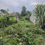 Bán đất nền 243m2 vị trí cách Quốc lộ 54 300m gần trường học gần chợ tiện nghi đầy đủ - Ảnh thu nhỏ 1
