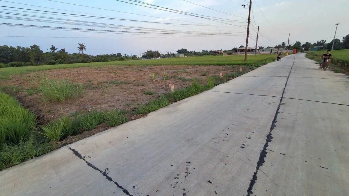 Bán đất thổ cư 200m² Nguyễn Văn Vịnh Tân Trụ Tây Ninh 790 triệu - Ảnh thu nhỏ 4