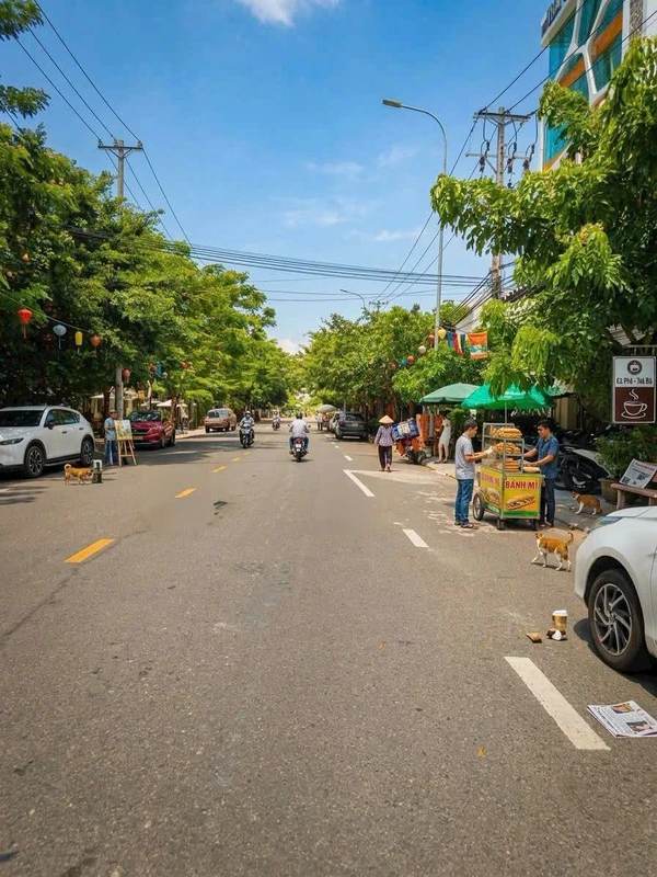Bán đất mặt tiền Đào Tấn Phan Thiết 297m2 - 12 tỷ 500 triệu