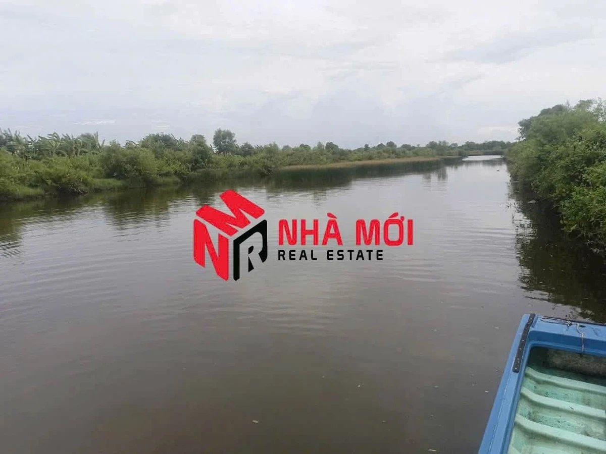 Bán đất vuông 36 công Ấp Cái Cám, Cà Mau - Ảnh thu nhỏ 4