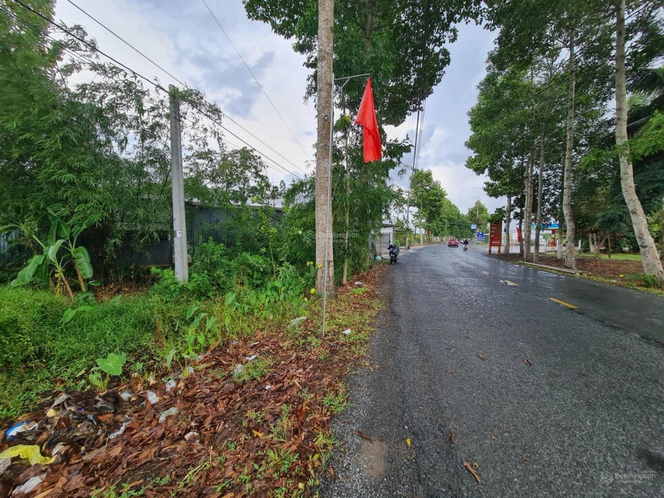 Bán đất giá rẻ Thị Trấn 1 Ngàn - Ảnh thu nhỏ 2
