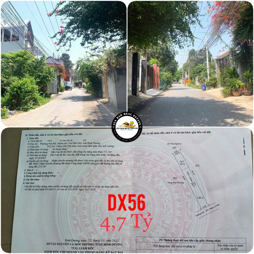 Bán đất xây biệt thự Phú Mỹ 295,7m² mặt tiền, 4,7 tỷ - Ảnh 1