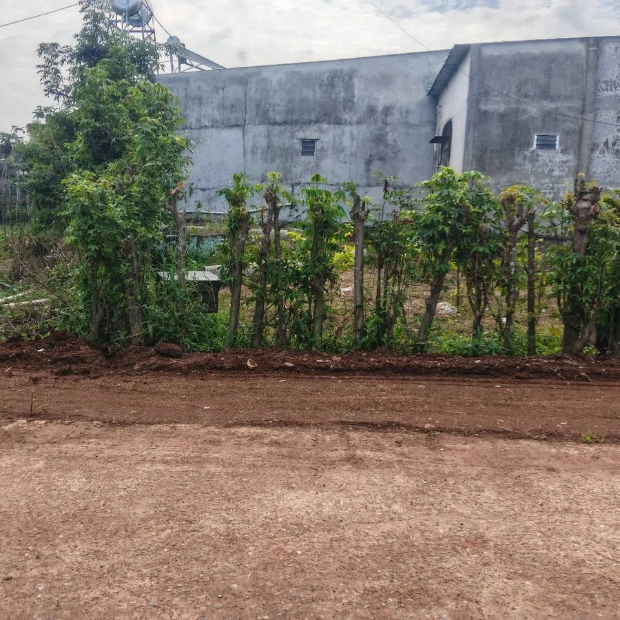 Bán đất mặt tiền 100m2 Đường 29 Nghĩa Thành Châu Đức - Ảnh thu nhỏ 3