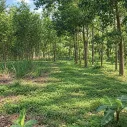191.8m2 đất Bình Điền, cạnh bên Lake Ho, gần Ami Garden - Ảnh thu nhỏ 8