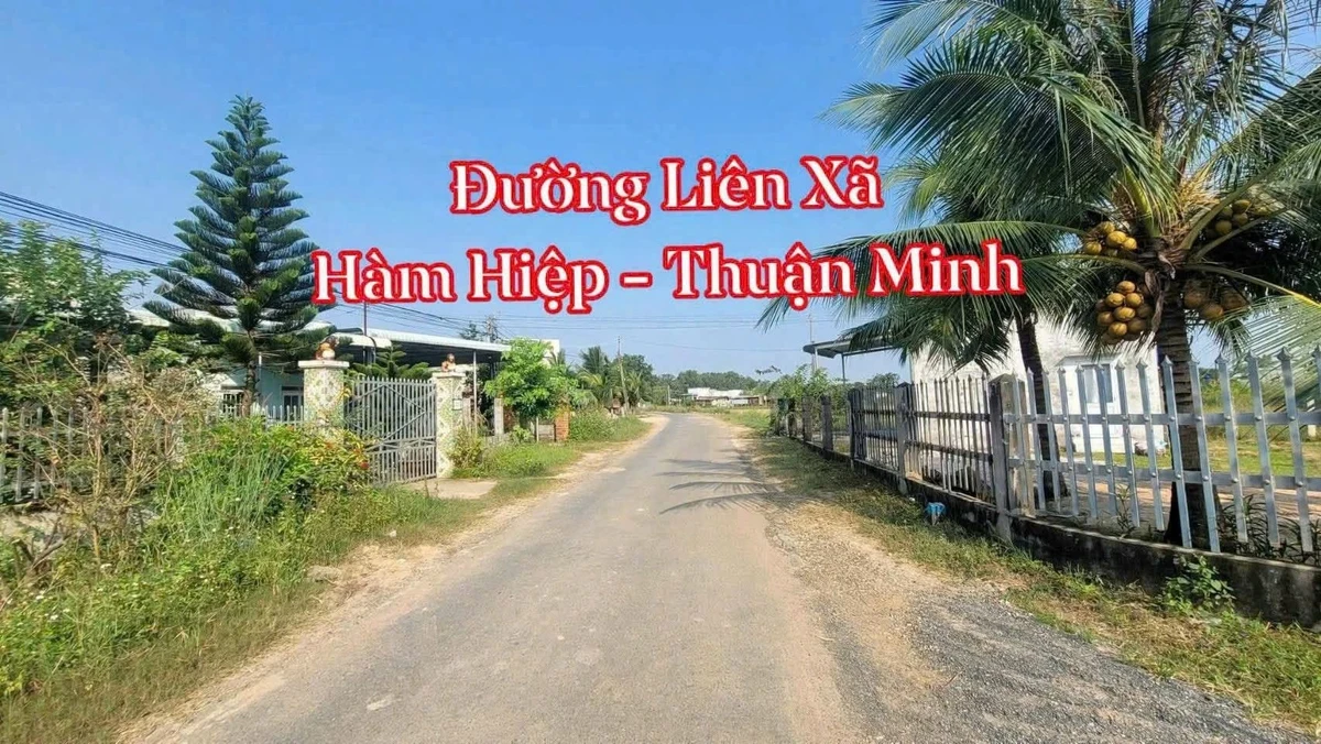 Bán lô đất 232m2 mặt tiền Hàm Liêm, Lâm Đồng - Ảnh 1