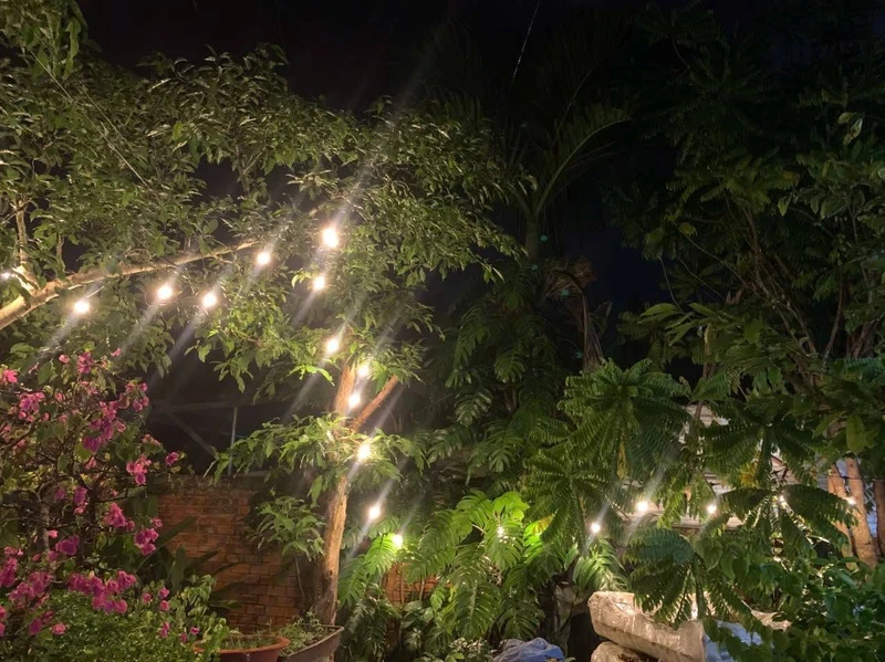 Bán khu nghỉ dưỡng 2.724m2 view sông cách Cái Chanh 1km, giá 2 tỷ 950