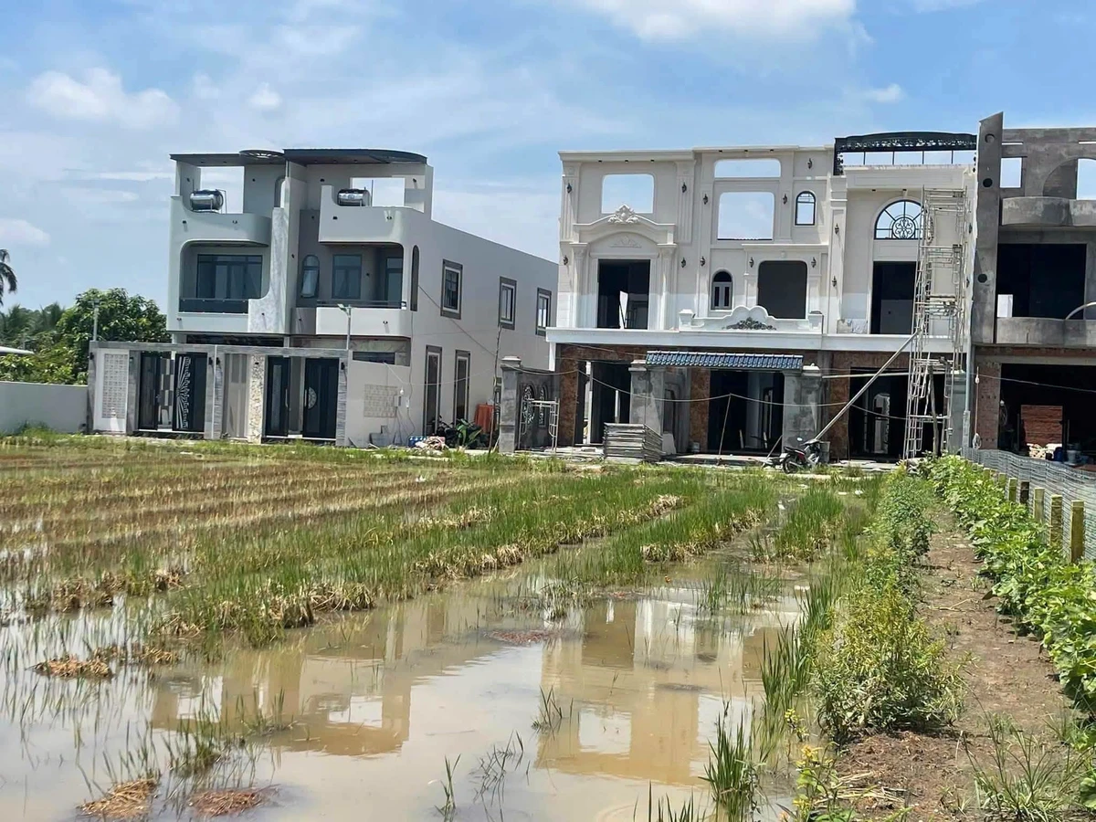 Bán 2.000m2 đất mặt tiền đường xe tải, có 412m2 thổ cư tại Long Hòa, Cần Đước - Ảnh thu nhỏ 3