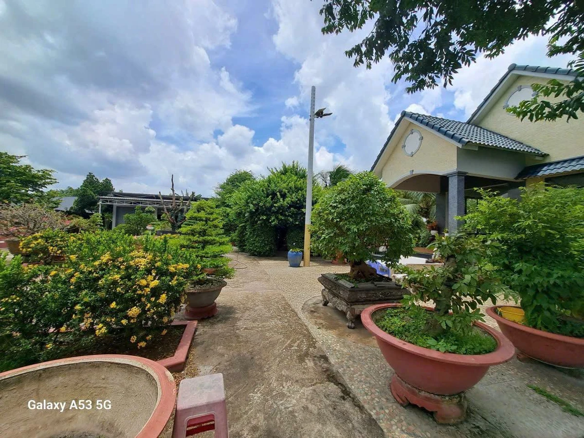 Bán nhà vườn 2200m² gần chợ Gò Đen, Bến Lức, Long An - Ảnh thu nhỏ 2