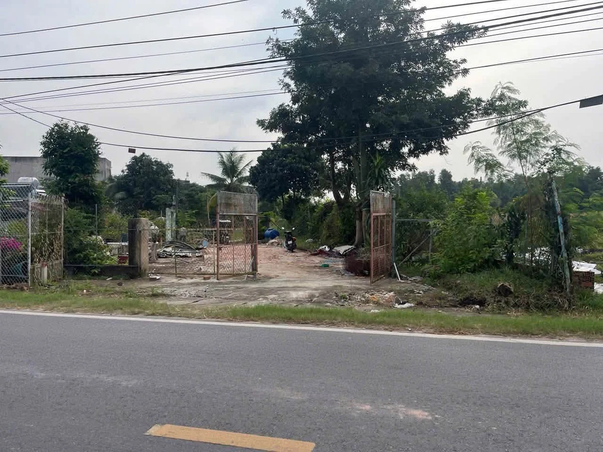 Bán đất mặt tiền Hùng Vương 505m2 (150m2 thổ cư) xã Phú Đông, Nhà Bè - Ảnh thu nhỏ 3