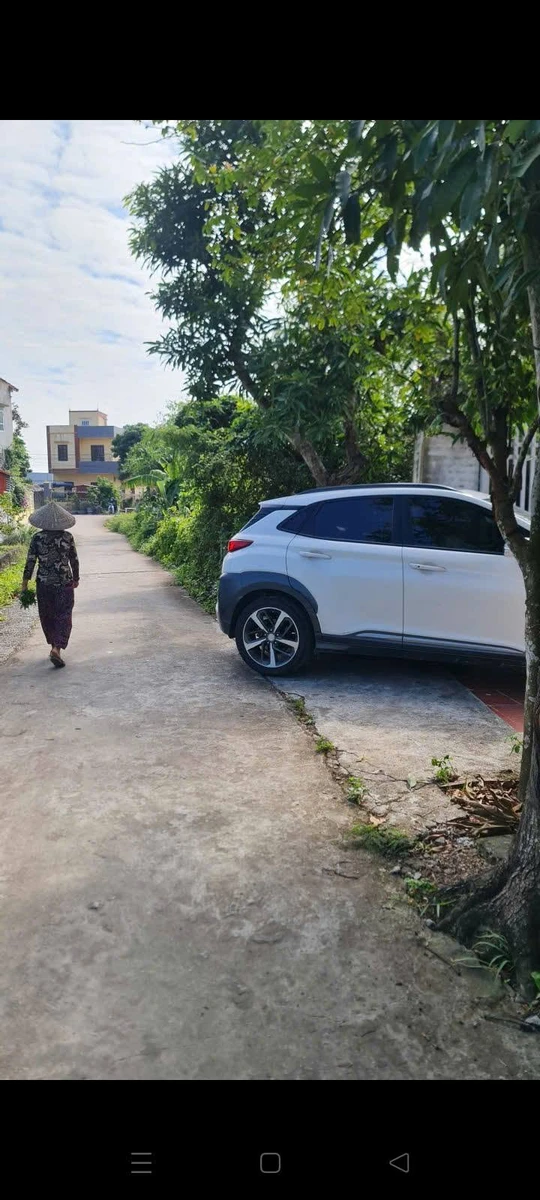 Bán nhà vườn 7.5 sào tại Đồ Sơn, Hải Phòng, 2.9 tỷ - Ảnh thu nhỏ 3