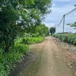 Bán đất 2500m2 nhà vườn nghỉ dưỡng Cẩm Mỹ - Ảnh thu nhỏ 4