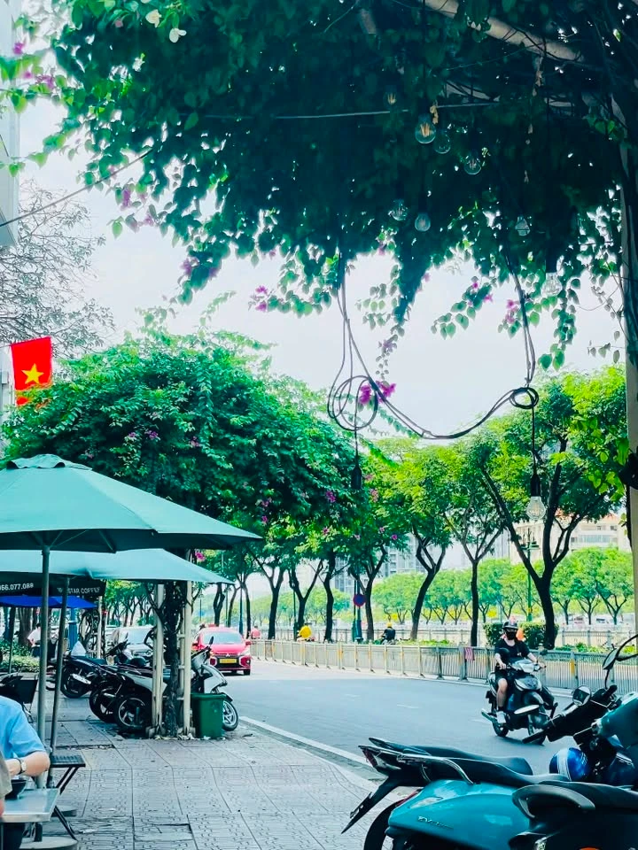 Bán nhà hẻm 3 tầng 25m² Bến Vân Đồn, Quận 4, giá 3,55 tỷ - Ảnh thu nhỏ 2