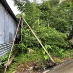 Bán nền mặt tiền Trương Phúng Xuân 94.5m² 800 triệu Cà Mau - Ảnh thu nhỏ 3
