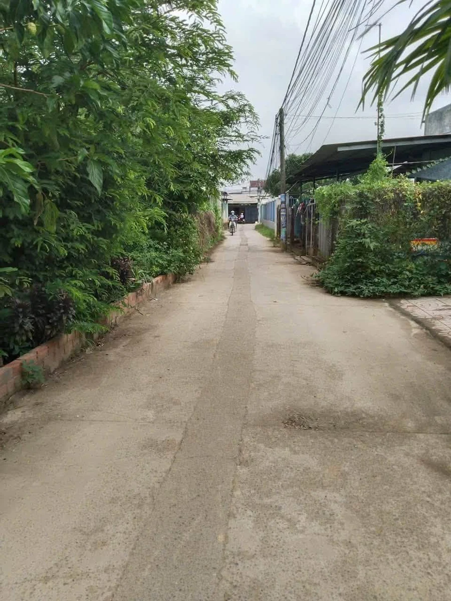 Bán nhà vườn 376m² sổ hồng riêng hẻm Lý Thái Tổ, Phú Hội, Nhơn Trạch, Đồng Nai - Ảnh thu nhỏ 3