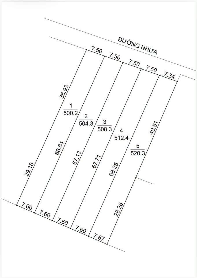 Bán đất Xuyên Mộc 520m², vườn nhãn, sổ sẵn 700 triệu - Ảnh thu nhỏ 3