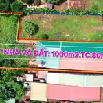Bán nhà vườn 1.000m² mặt tiền Buôn Huê, Ea Kao, Đắk Lắk - Ảnh thu nhỏ 2