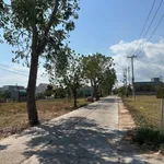 Bán lô đất 129.4m2 Ngô Đức Tốn, Phan Thiết - Ảnh thu nhỏ 4