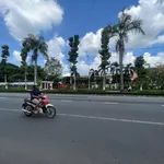 Bán đất view đẹp tại Quốc Lộ 60, xã Sơn Đông, thành phố Bến Tre, 10,5 tỷ, 545,6 m2 - Ảnh thu nhỏ 6