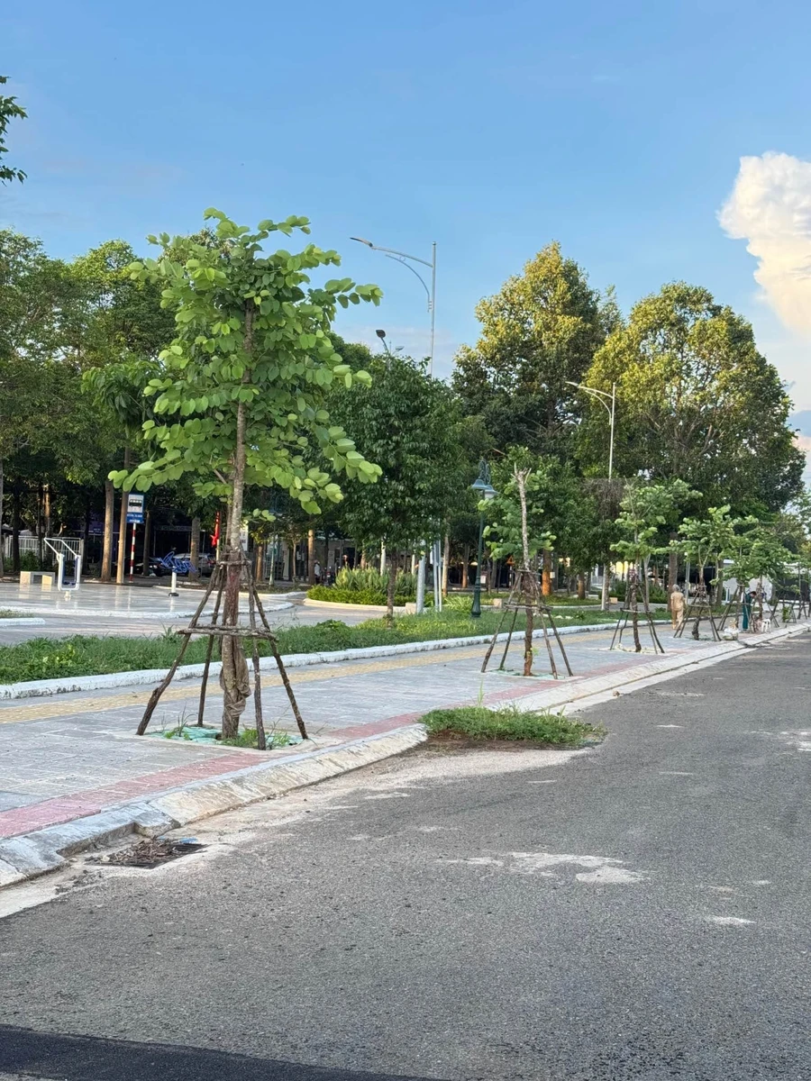 Bán đất mặt tiền kinh doanh QL55 Đất Đỏ 593m² - Ảnh thu nhỏ 5