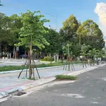 Bán đất mặt tiền kinh doanh QL55 Đất Đỏ 593m² - Ảnh thu nhỏ 5
