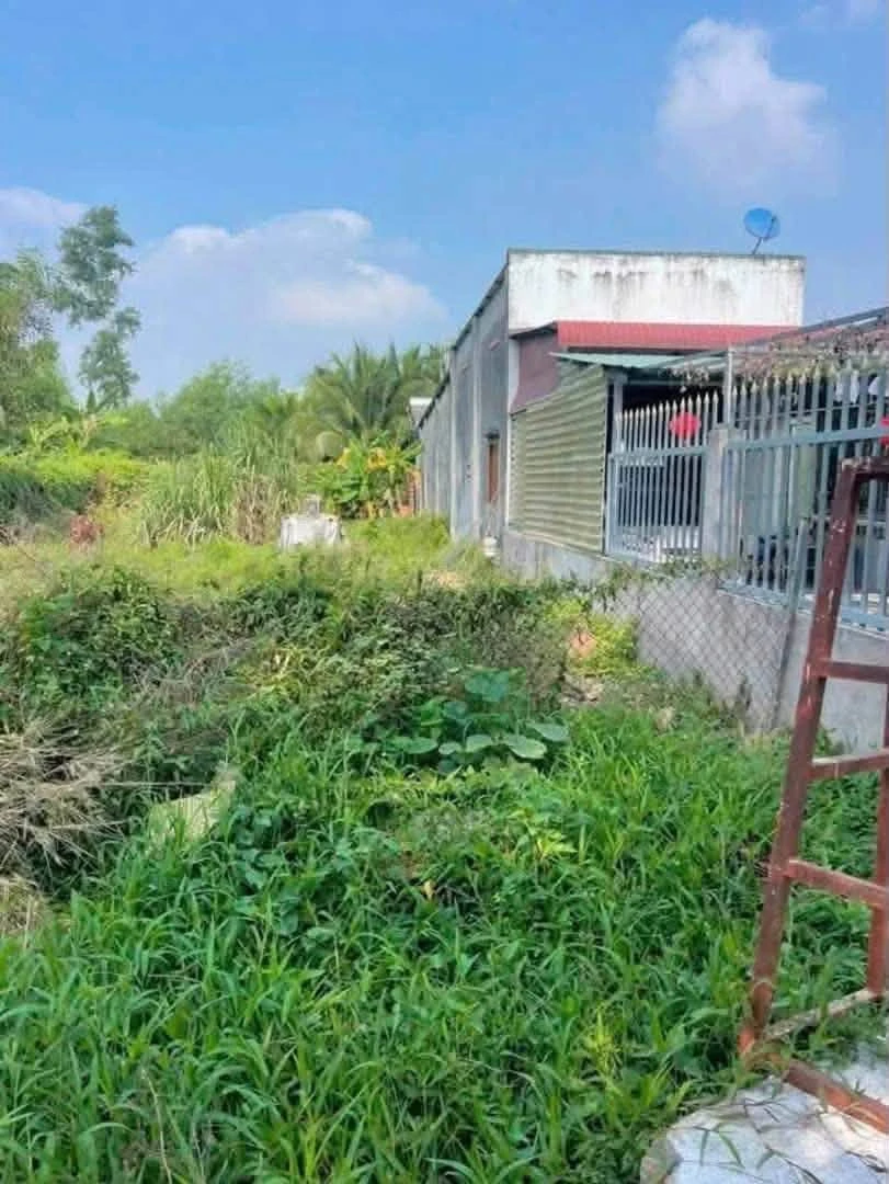 Bán đất An Điền Bến Cát 150m² - Ảnh thu nhỏ 4