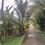 Bán đất xây nhà rộng rãi 1.253,4m xã Cái Nhum, Vĩnh Long giá chỉ 1 tỷ 6 - Ảnh thu nhỏ 6