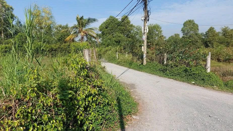 Bán đất 1469m2 (200m2 thổ cư) đường Long Thuận, Long Phước, Thủ Đức, giá 17,6 tỷ - Ảnh thu nhỏ 3