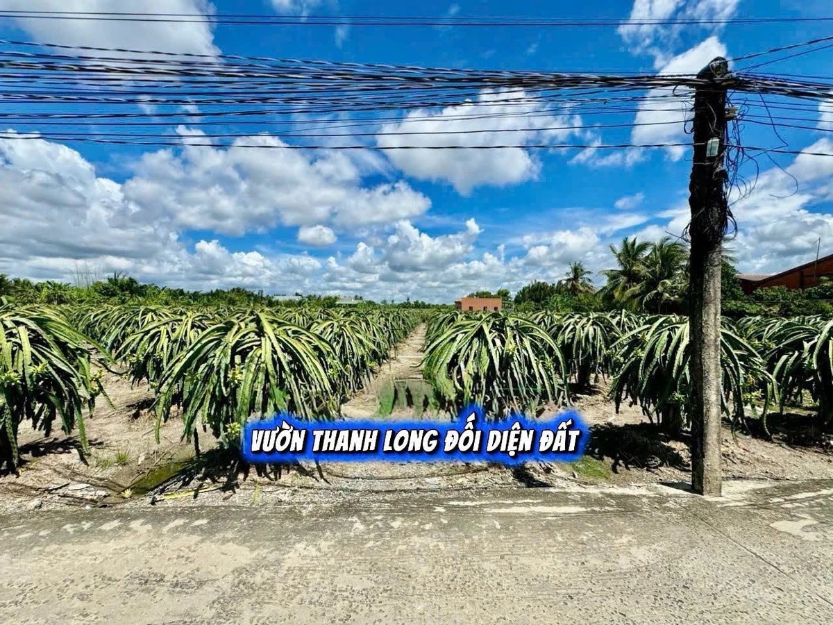 Bán đất full thổ cư Thanh Phú Long Long An 124m², 399 triệu - Ảnh thu nhỏ 5