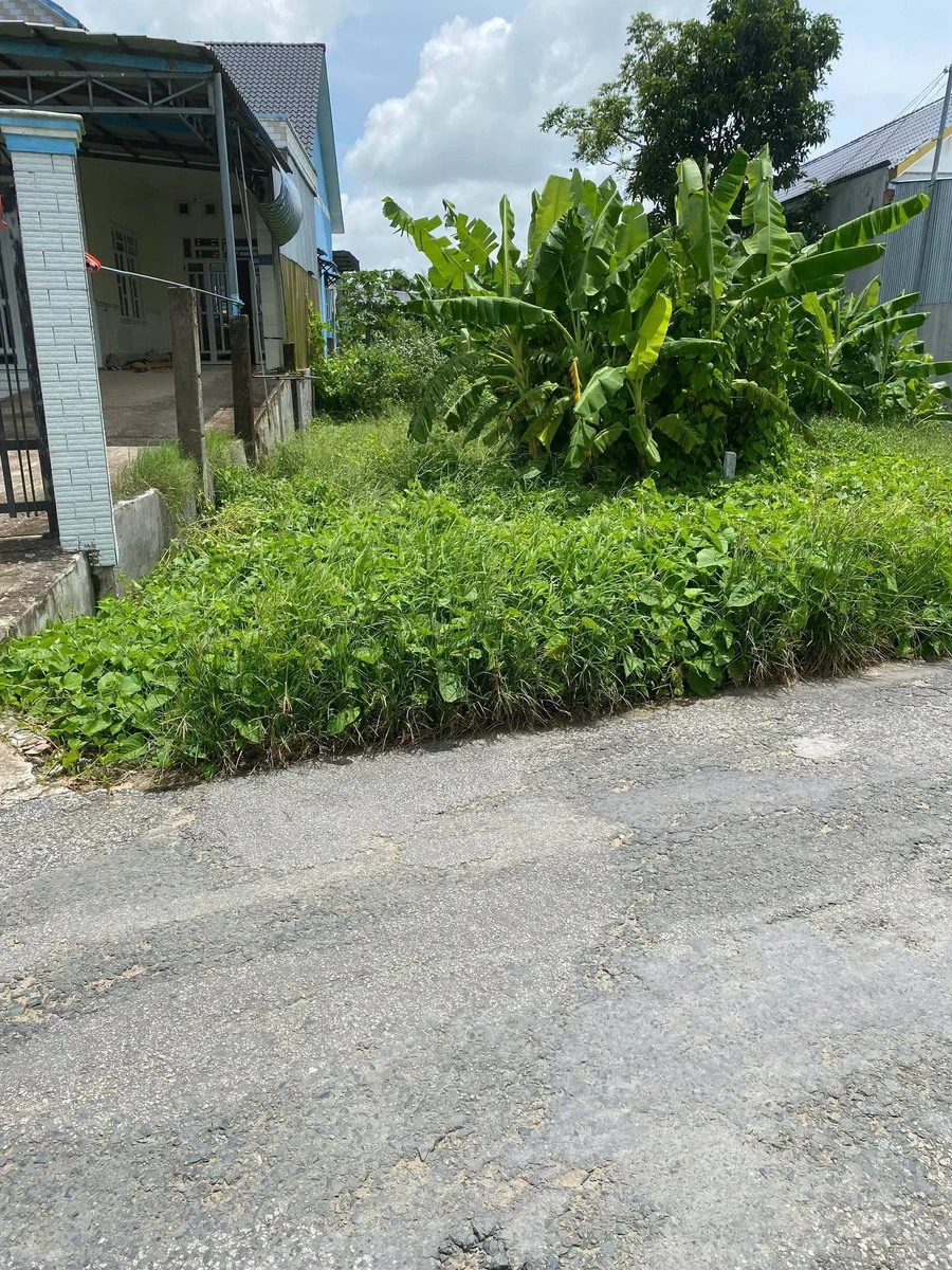 Bán nền đất 146,9m² Trung An, Cờ Đỏ, Cần Thơ - Ảnh thu nhỏ 3