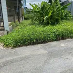 Bán nền đất 146,9m² Trung An, Cờ Đỏ, Cần Thơ - Ảnh thu nhỏ 3