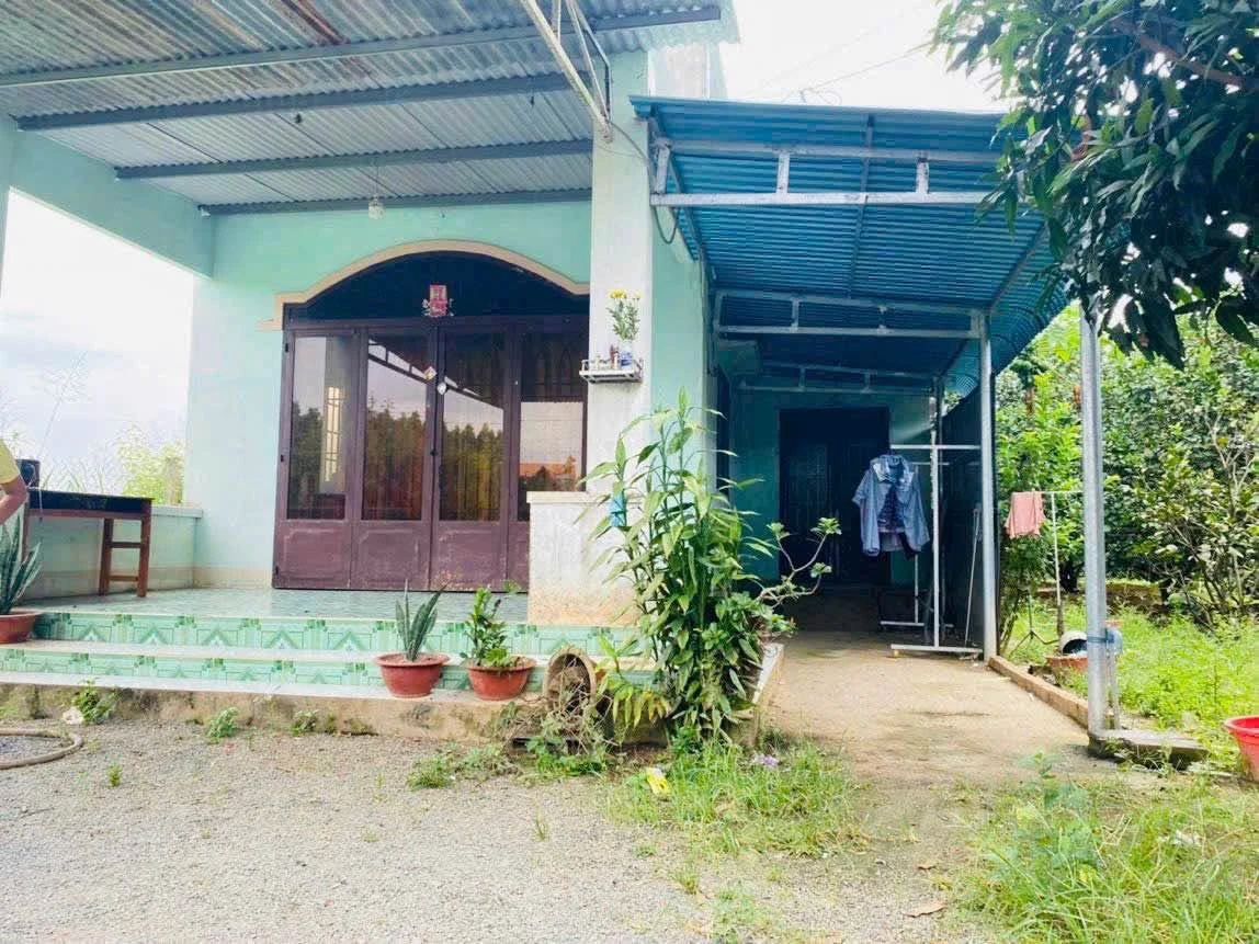Bán đất vườn 560m2 Vĩnh Cửu, Đồng Nai - Ảnh thu nhỏ 2