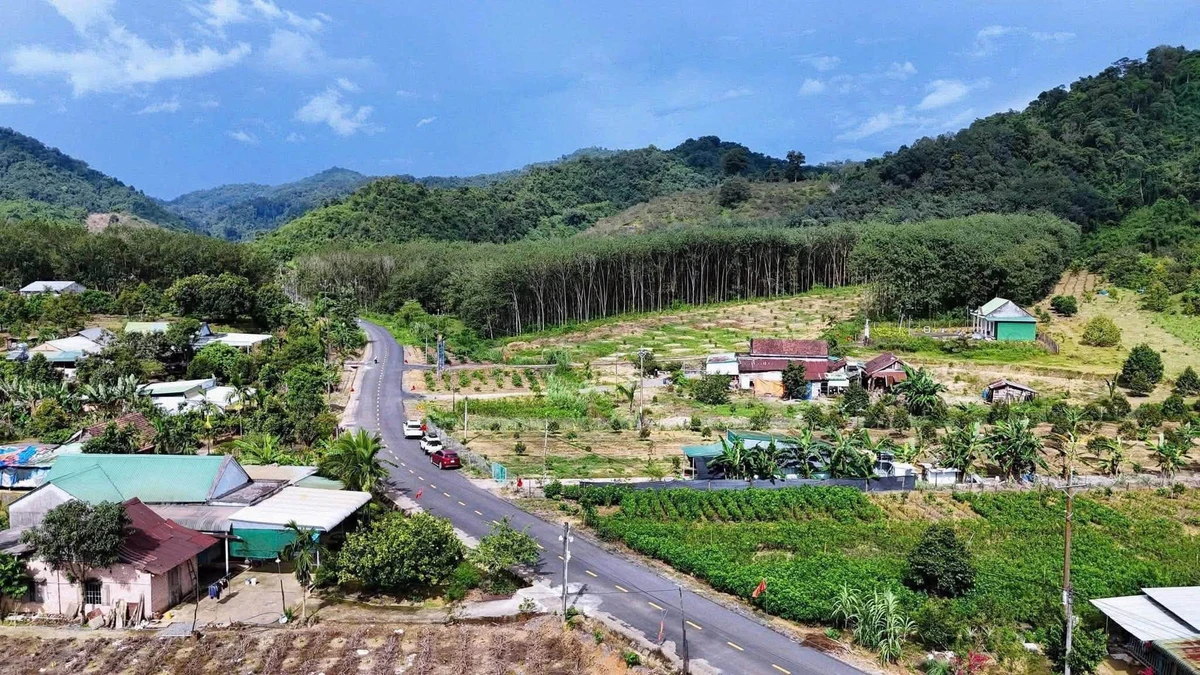 Bán nhà vườn sầu riêng Đạ Pal, Lâm Đồng, 3 tỷ 350 - Ảnh thu nhỏ 5