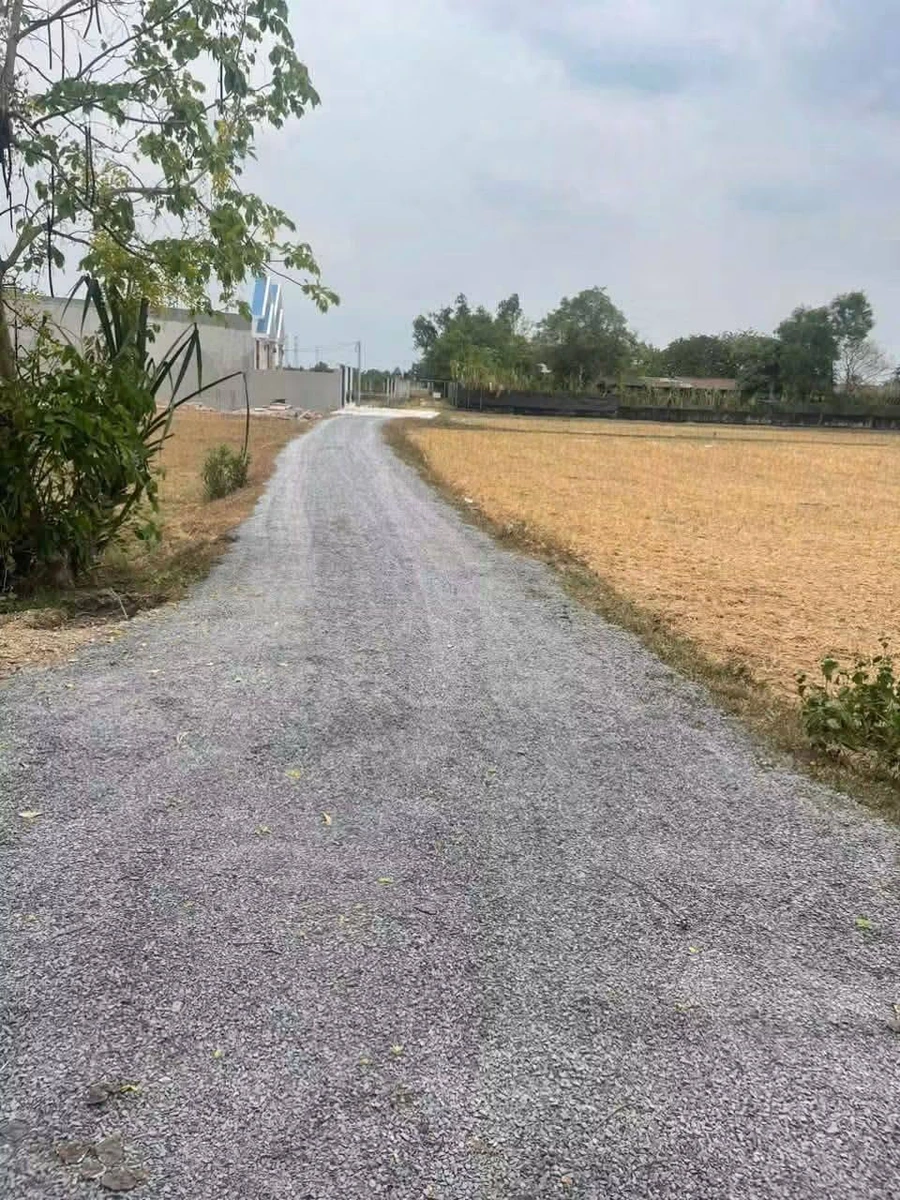 Bán nhà Long An 135m² giá 1 tỷ 480 - Ảnh thu nhỏ 3