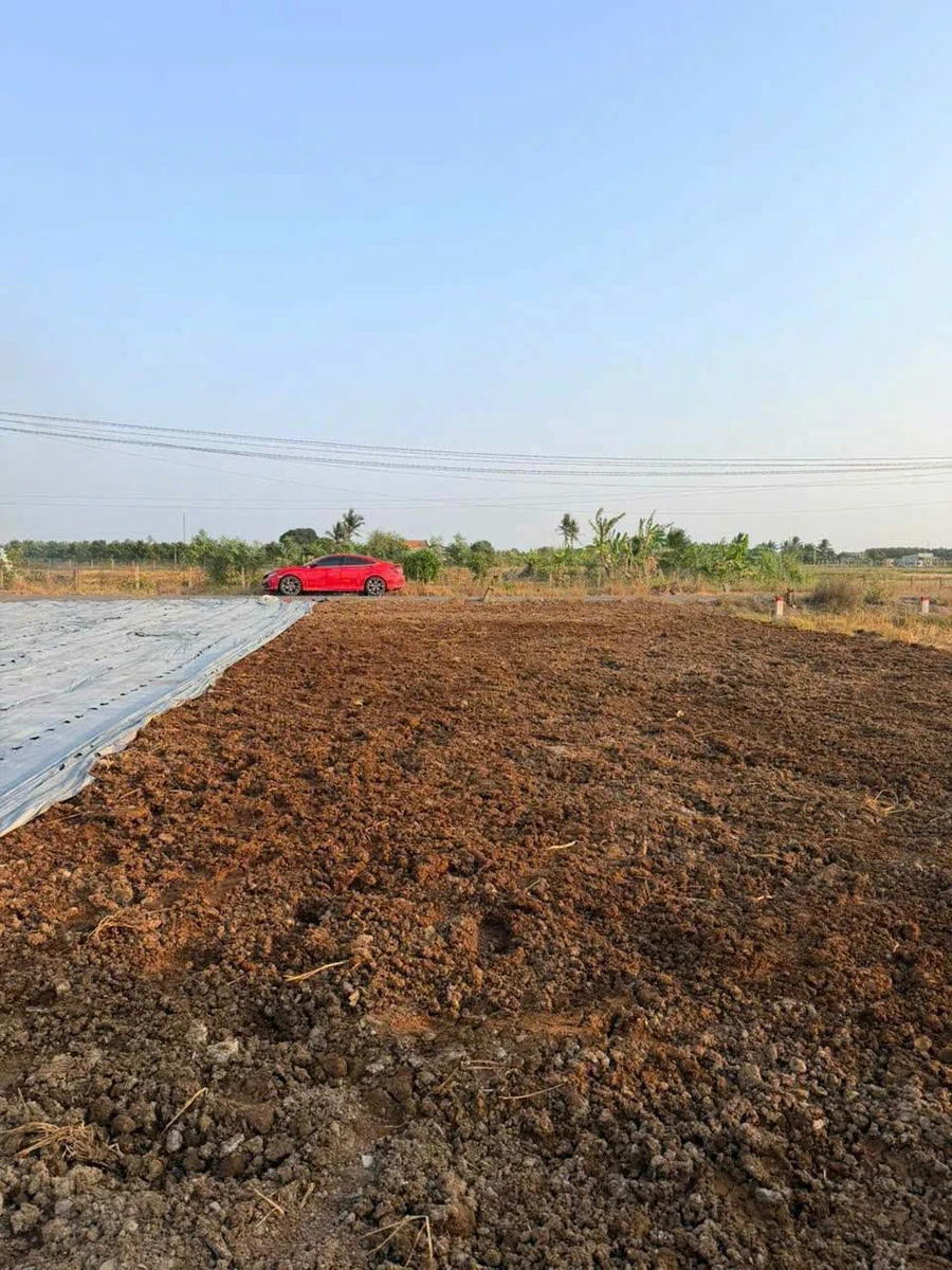 Bán đất mặt tiền Đăng Mỹ 135m² Bến Lức 890 triệu - Ảnh thu nhỏ 3
