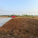 Bán đất mặt tiền Đăng Mỹ 135m² Bến Lức 890 triệu - Ảnh thu nhỏ 3
