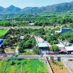 Bán vườn xoài Phước Hải, BRVT, 2000 m², 7,2 tỷ - Ảnh thu nhỏ 3