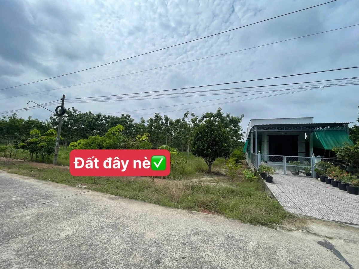 Bán 2 lô liền kề 275m2 đường Minh Hưng Bình Dương - Ảnh thu nhỏ 5