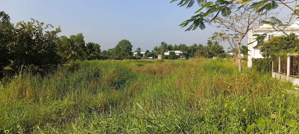 Bán đất 7.000m² full thổ cư Cần Đước, Long An, 40 tỷ - Ảnh thu nhỏ 2