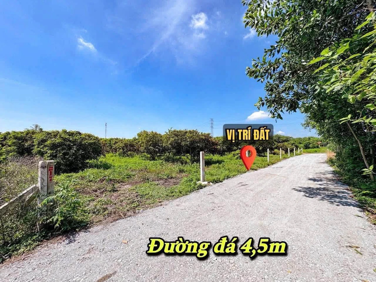 Bán 8 lô đất thổ cư 5x40 tại Cầu Khởi, Tây Ninh 279 triệu/lô - Ảnh thu nhỏ 2
