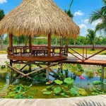 Nhà vườn 1.600m² gần Phan Thiết, 1 tỷ 790 triệu - Ảnh thu nhỏ 5