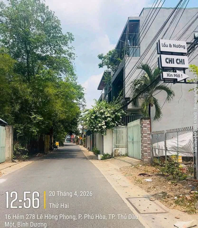 Bán đất Phú Hoà 339m² giá 7 tỷ, Bình Dương - Ảnh thu nhỏ 5