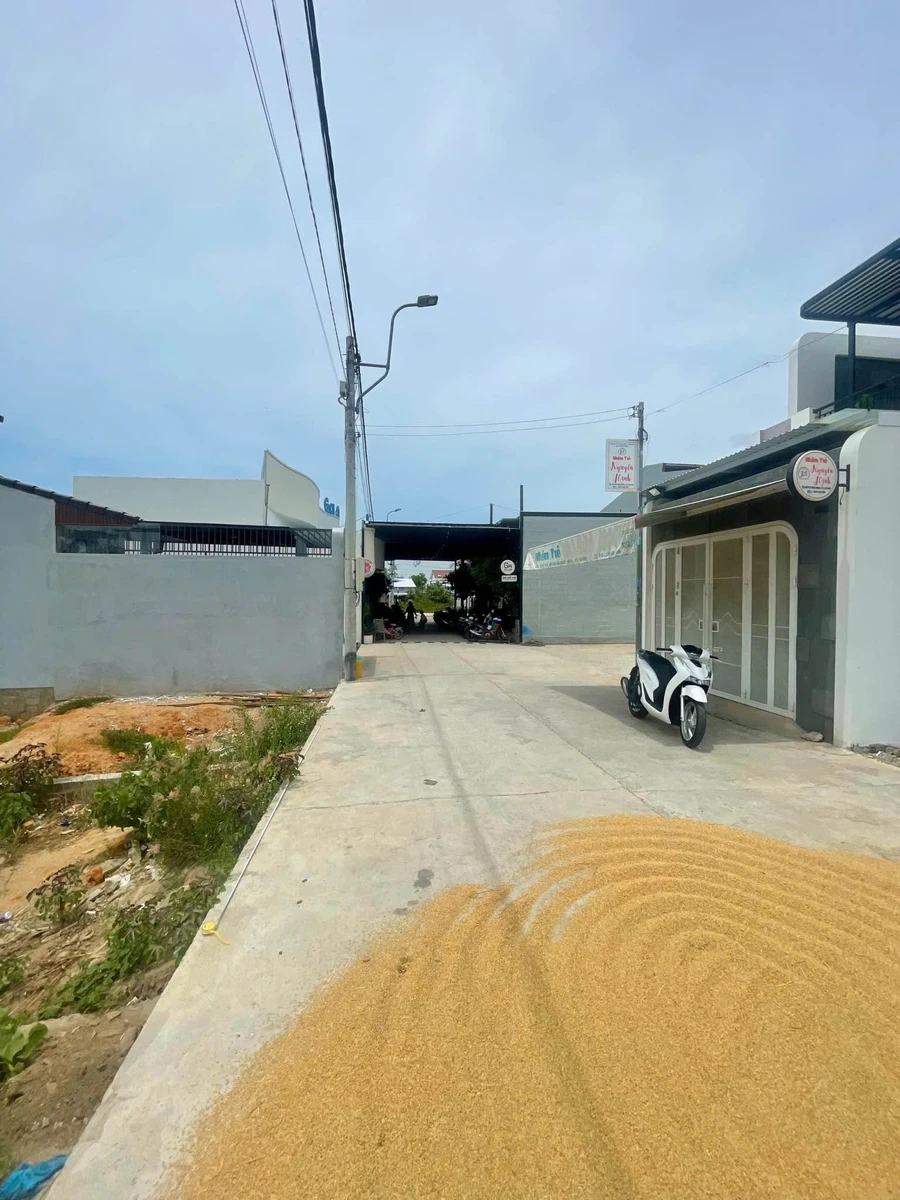 Bán lô đất thổ cư 110m² Phường Đô Vinh, Khánh Hòa - Ảnh thu nhỏ 3