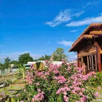 Bán đất 1.000m² mặt tiền 40m Xã Hàm Liêm Lâm Đồng - Ảnh thu nhỏ 4