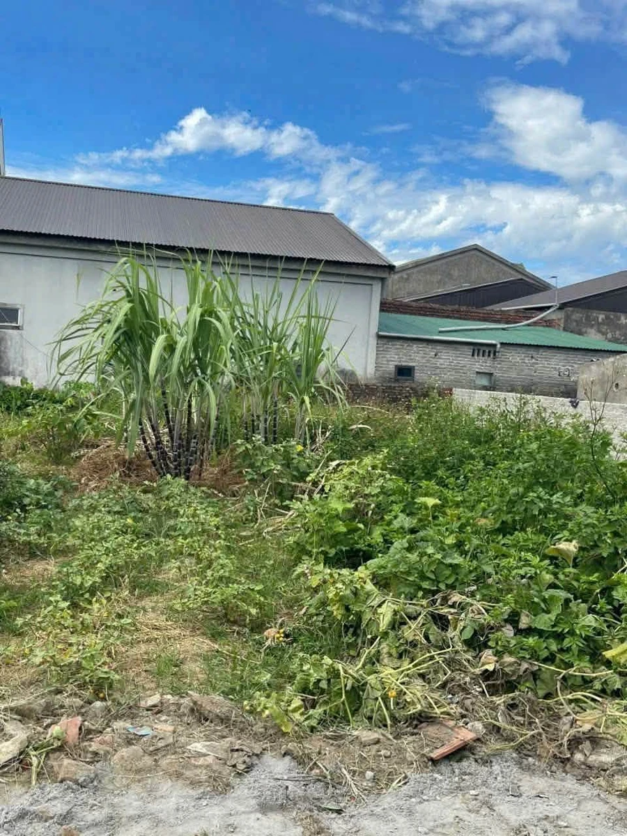 Bán lô đất 77m² ở Ngh Kìm, giá hơn 1 tỷ - Ảnh thu nhỏ 2