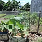 Bán đất nền 76.4m2 gần chợ Bứa An Lão - Ảnh thu nhỏ 1