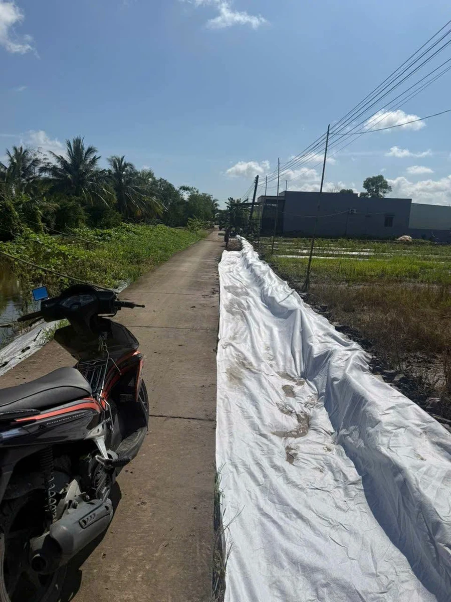 Đất bán 300m² Lê Hồng Phong P8 Bình Tân 400 triệu - Ảnh thu nhỏ 3